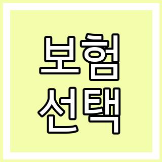 보험 선택