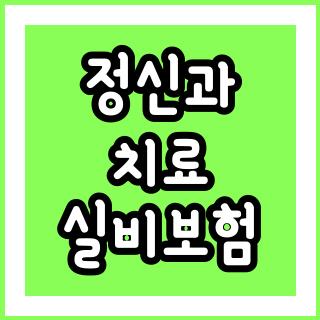 정신과 치료 실비보험